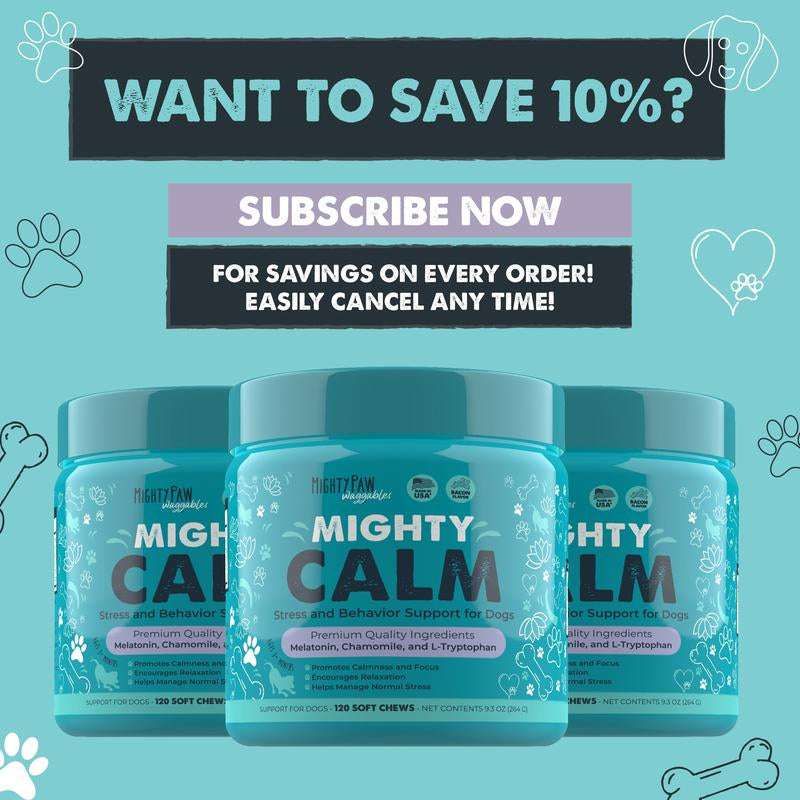 Mighty Calm Chews for Dogs: Soothing Stress Support in Every Bite