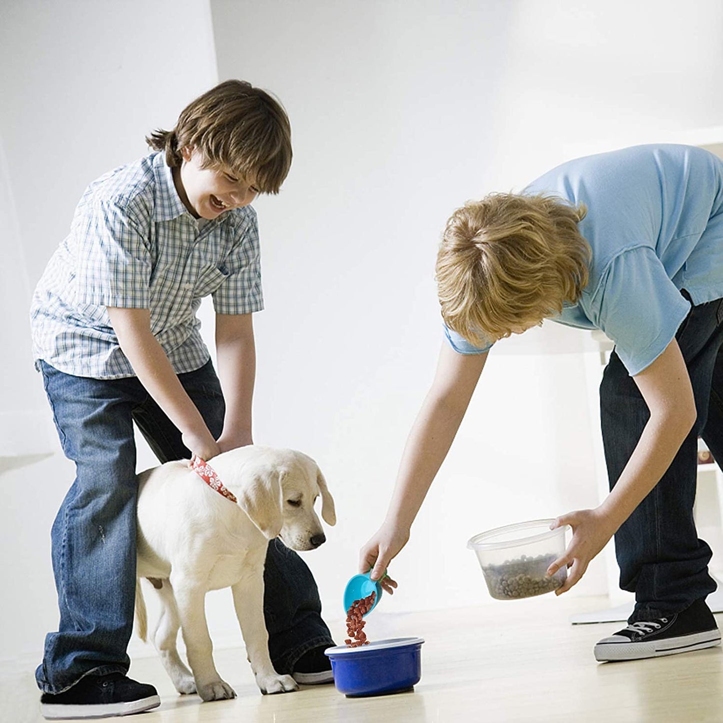 Dog Food Scoop Set of 4 - Plastic Measuring Cups for Dog, Cat and Bird Food (Random Color)