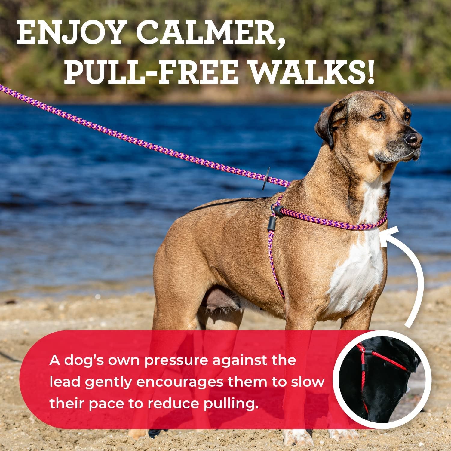 No Pull Dog Harness and Leash Set, anti Pull Dog Harness, One-Piece Cushioned Rope Safely Prevents Escaping and Pulling *New Insert Is Removable (Small/Medium, Red/Reflective)